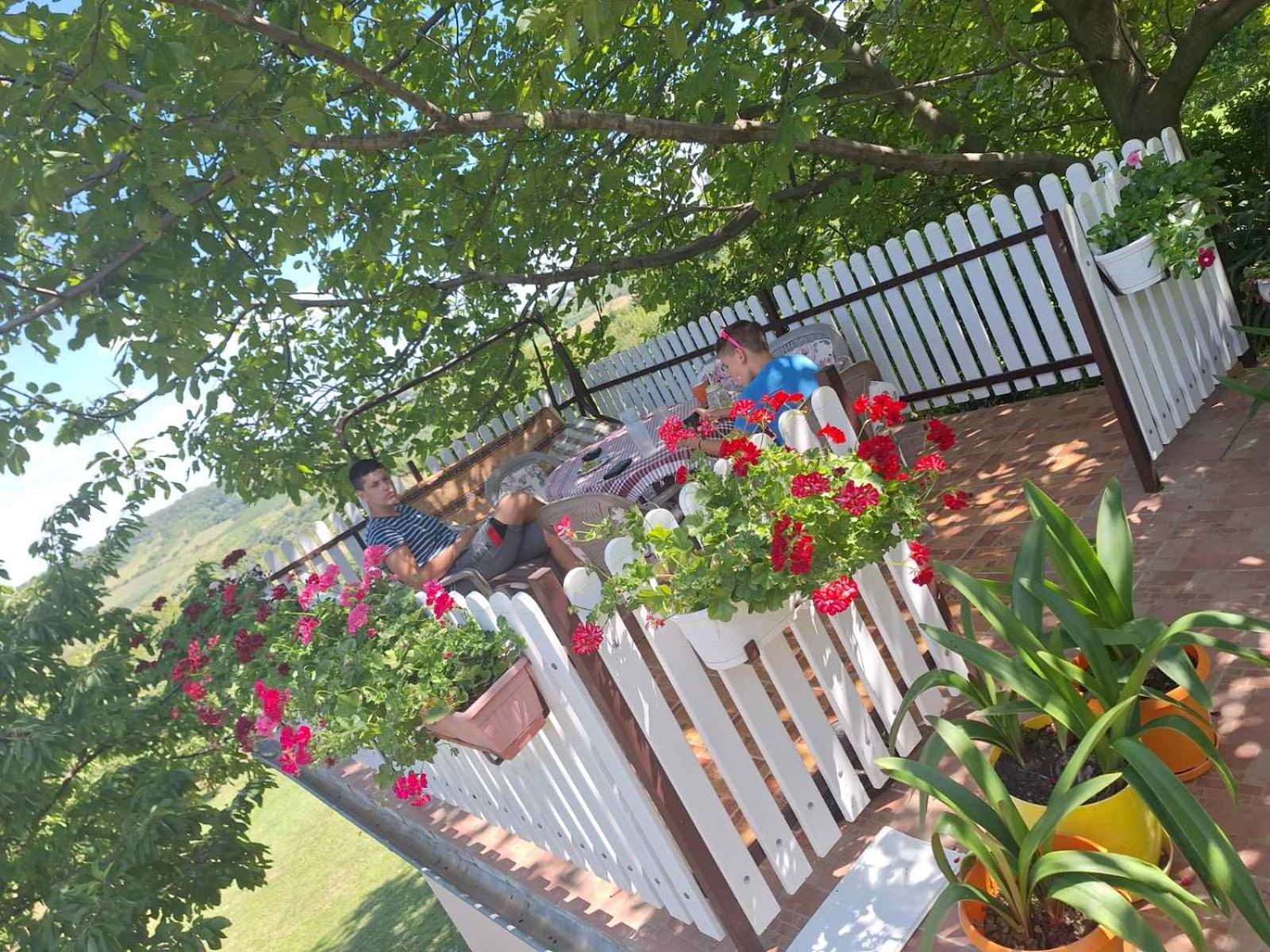 Guest House Jevtovic Karlofça Dış mekan fotoğraf