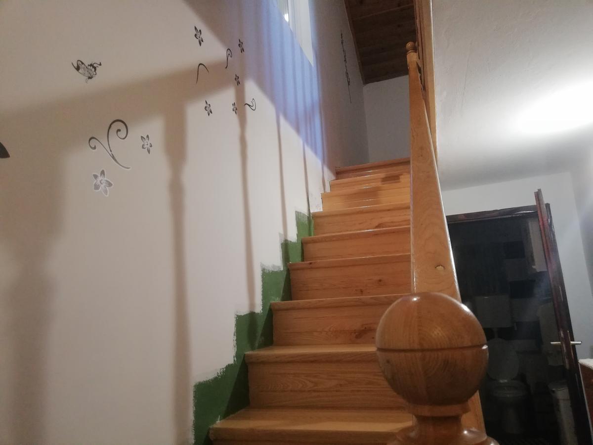 Guest House Jevtovic Karlofça Dış mekan fotoğraf