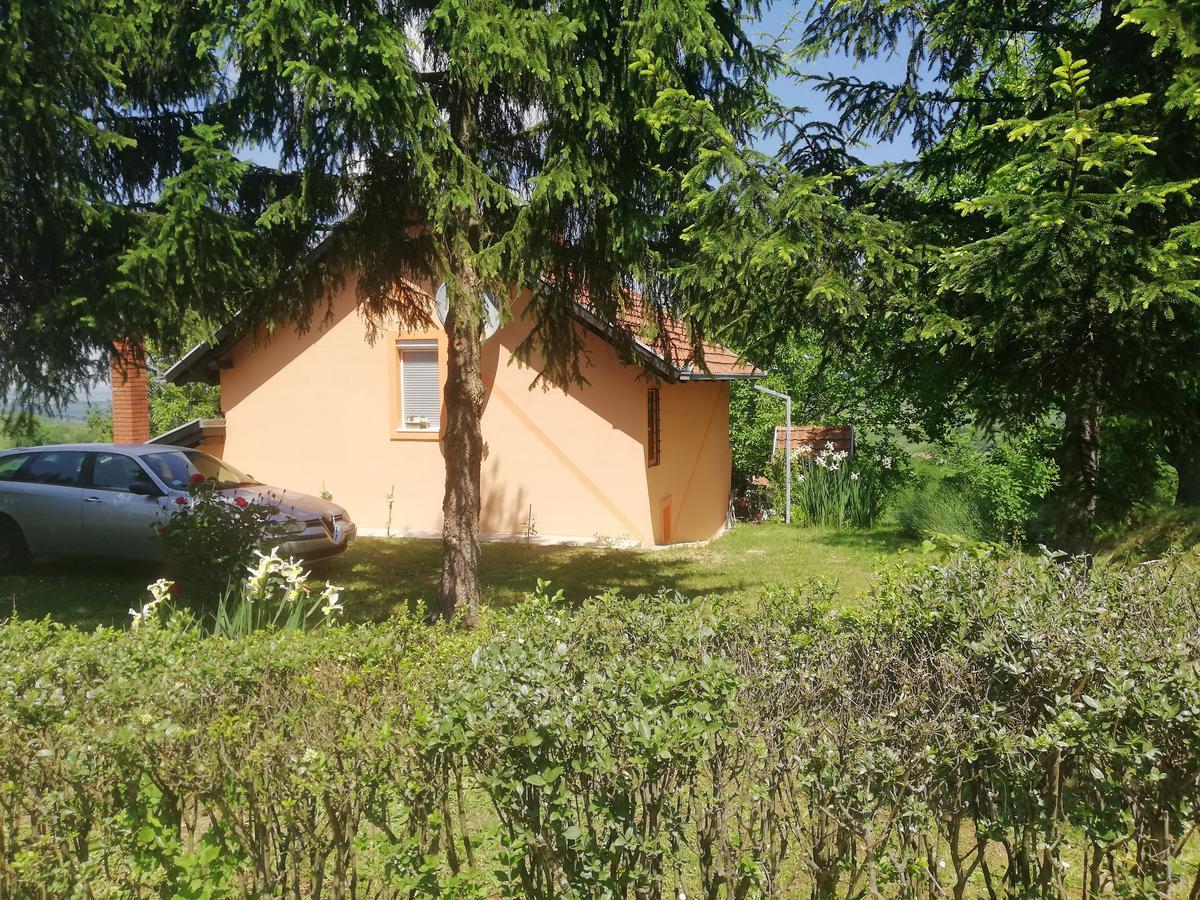Guest House Jevtovic Karlofça Dış mekan fotoğraf