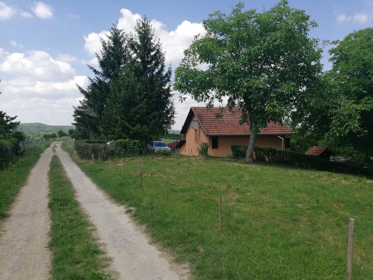 Guest House Jevtovic Karlofça Dış mekan fotoğraf