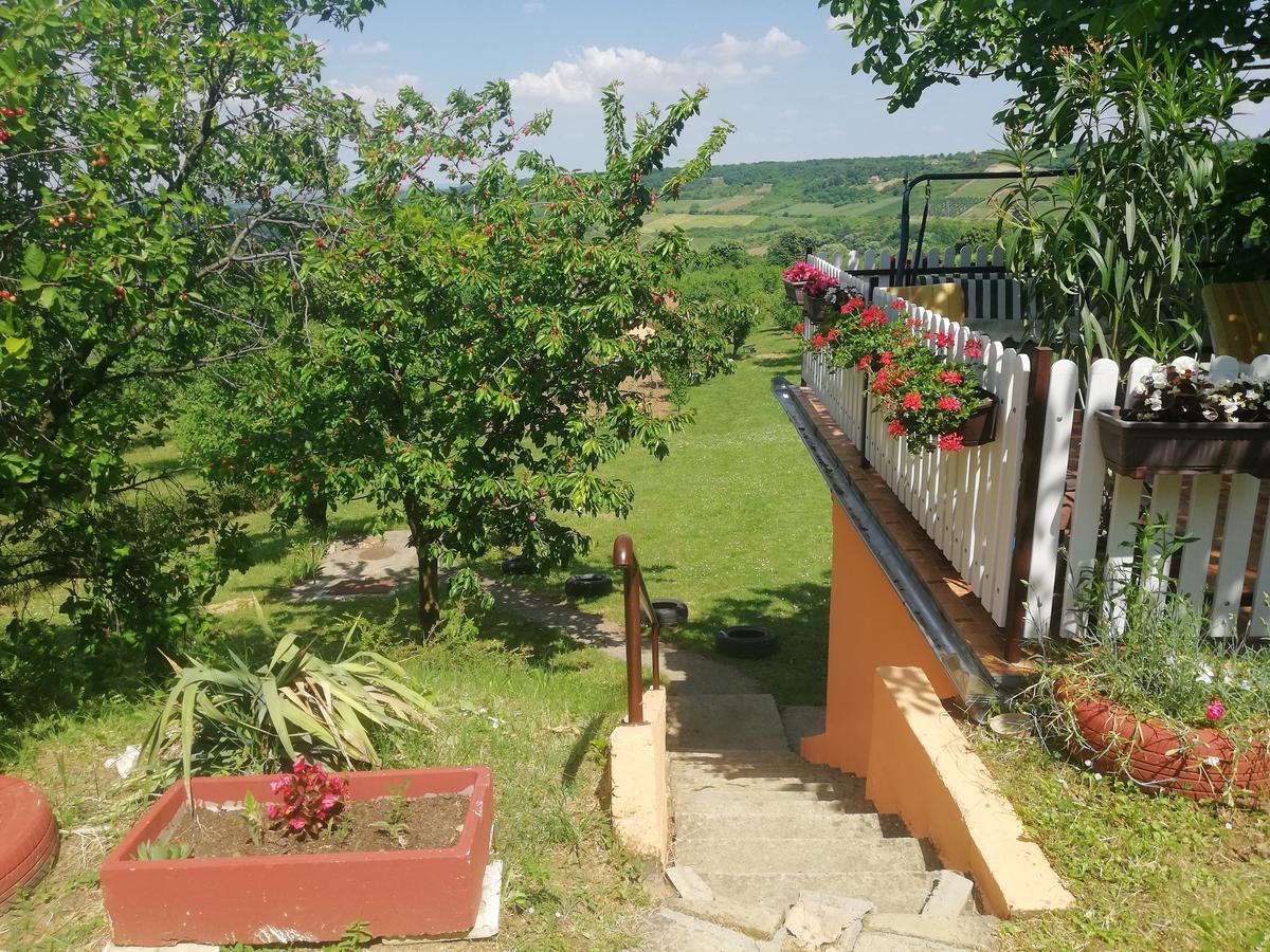 Guest House Jevtovic Karlofça Dış mekan fotoğraf