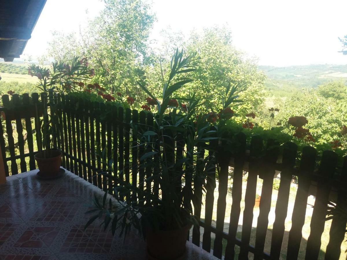 Guest House Jevtovic Karlofça Dış mekan fotoğraf