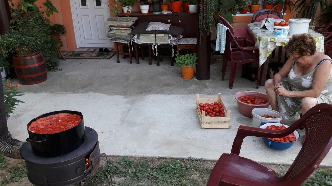 Guest House Jevtovic Karlofça Dış mekan fotoğraf